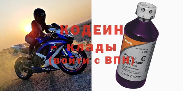 МДПВ Бородино