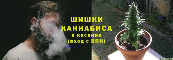 МДПВ Бородино