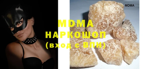 МДПВ Бородино