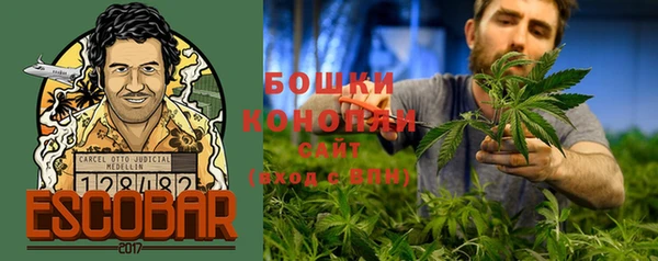 МДПВ Бородино