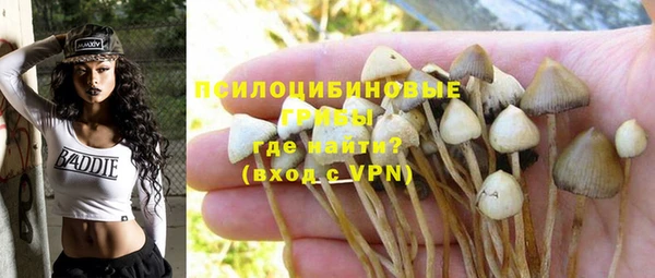 МДПВ Бородино