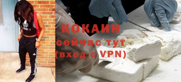 МДПВ Бородино